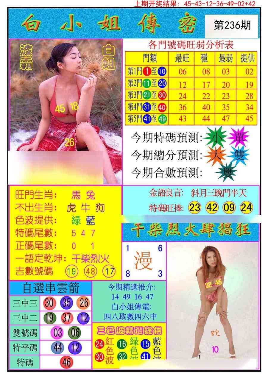 2025236期：白小姐密报