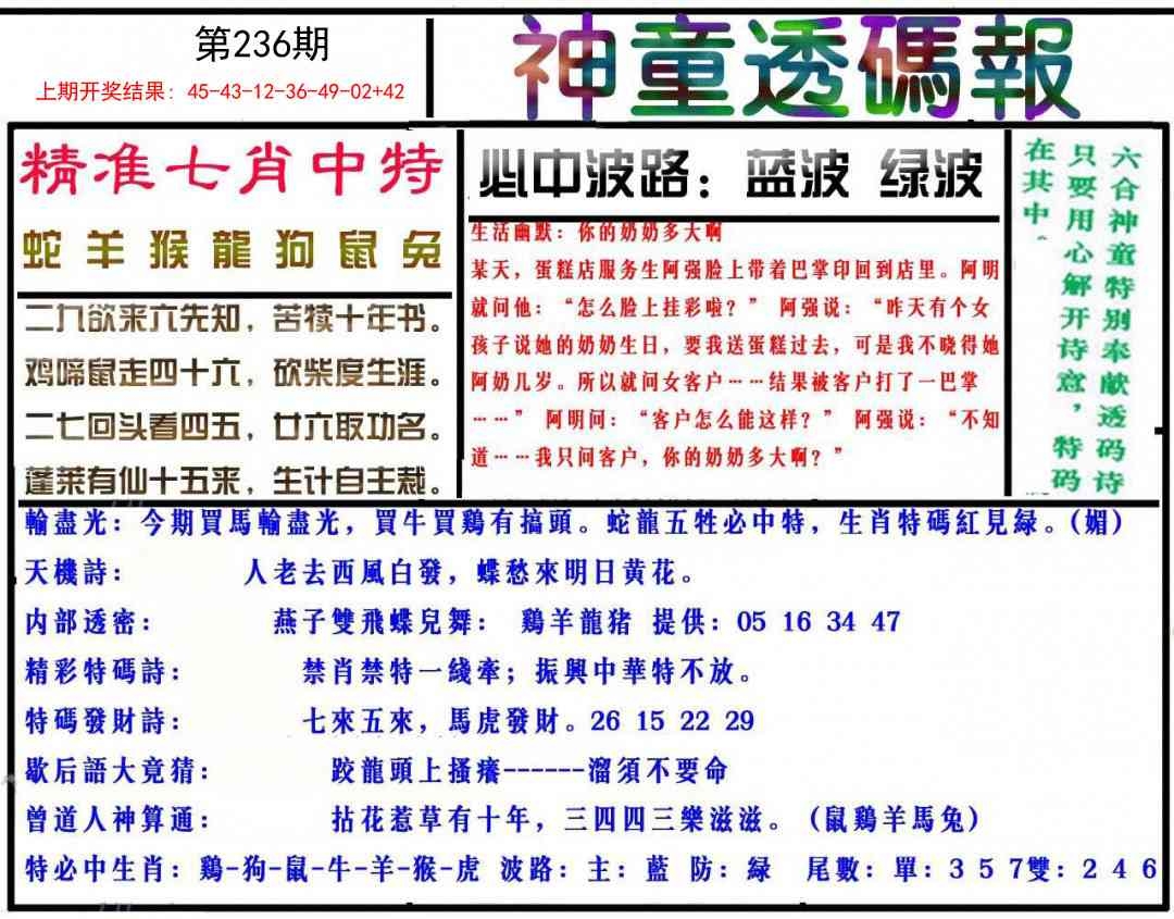 2025236期：神童透码报