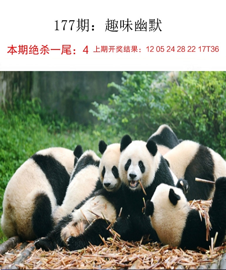 2025177期：新趣味幽默