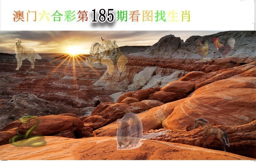 加载中……