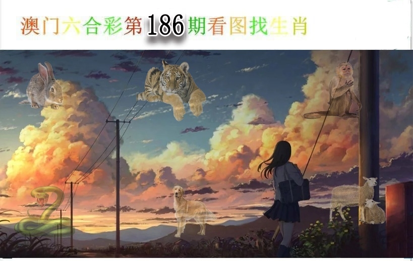 加载中……