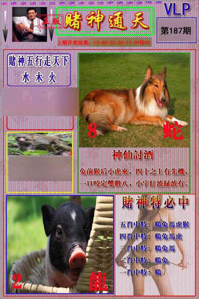 加载中……