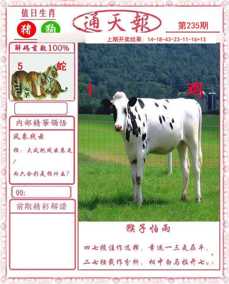 2025235期：通天報解碼
