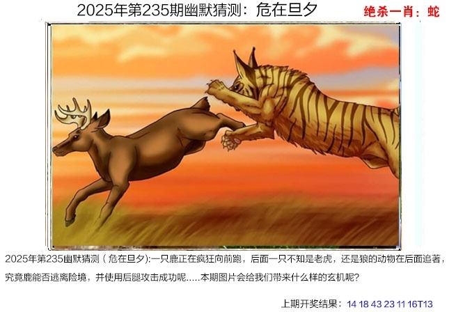 2025235期：澳幽默猜測(cè)