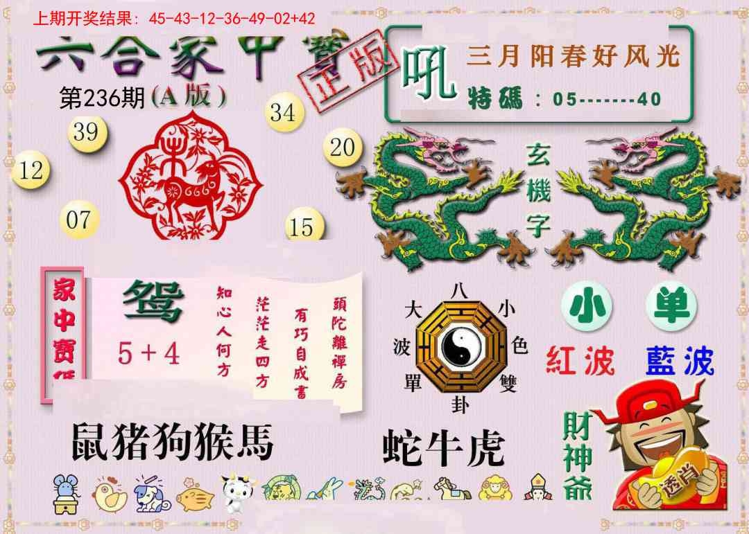 2025236期：合家中寶A