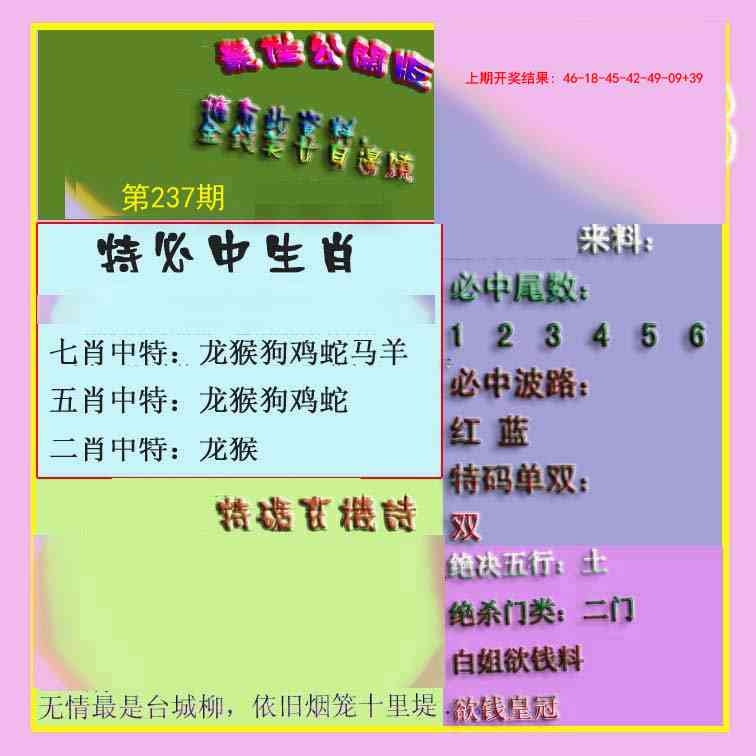 2025237期：波肖尾門報