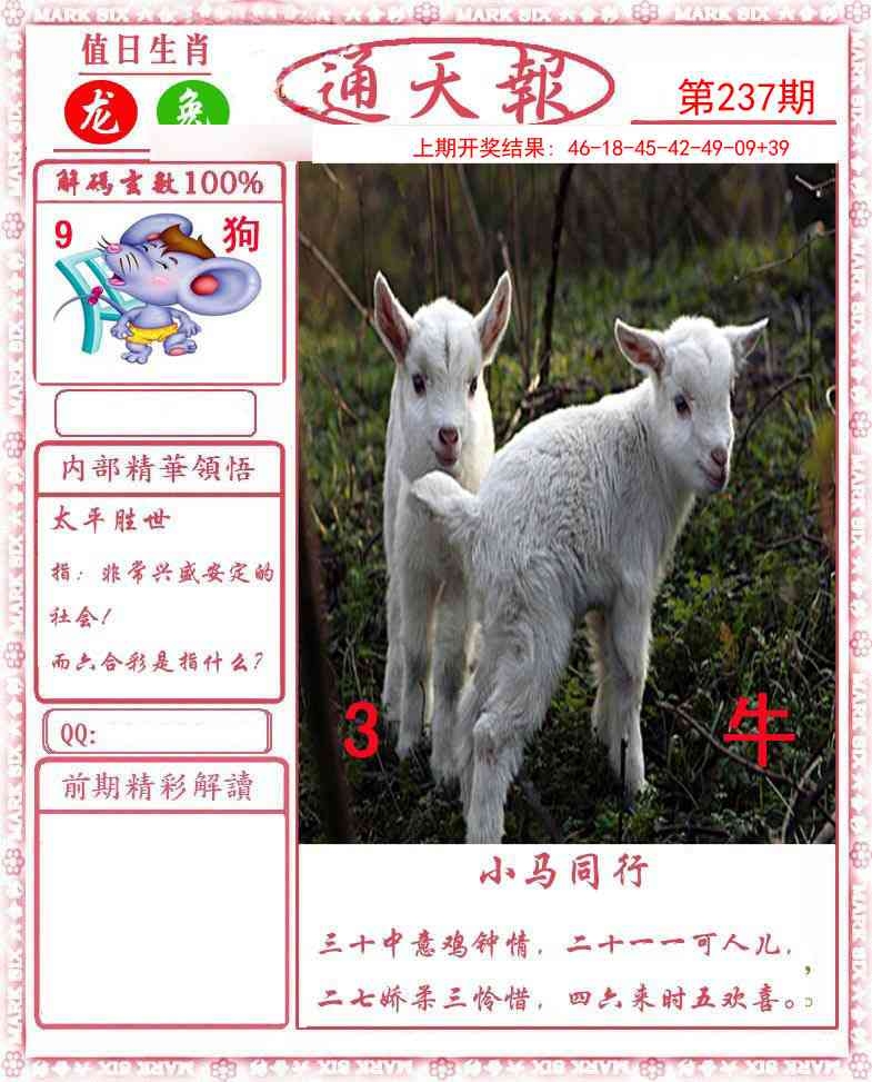 2025237期：通天報(bào)解碼