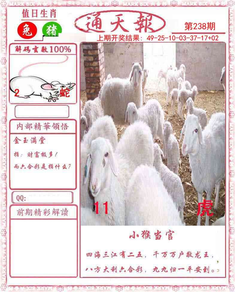 2025238期：正版通天報