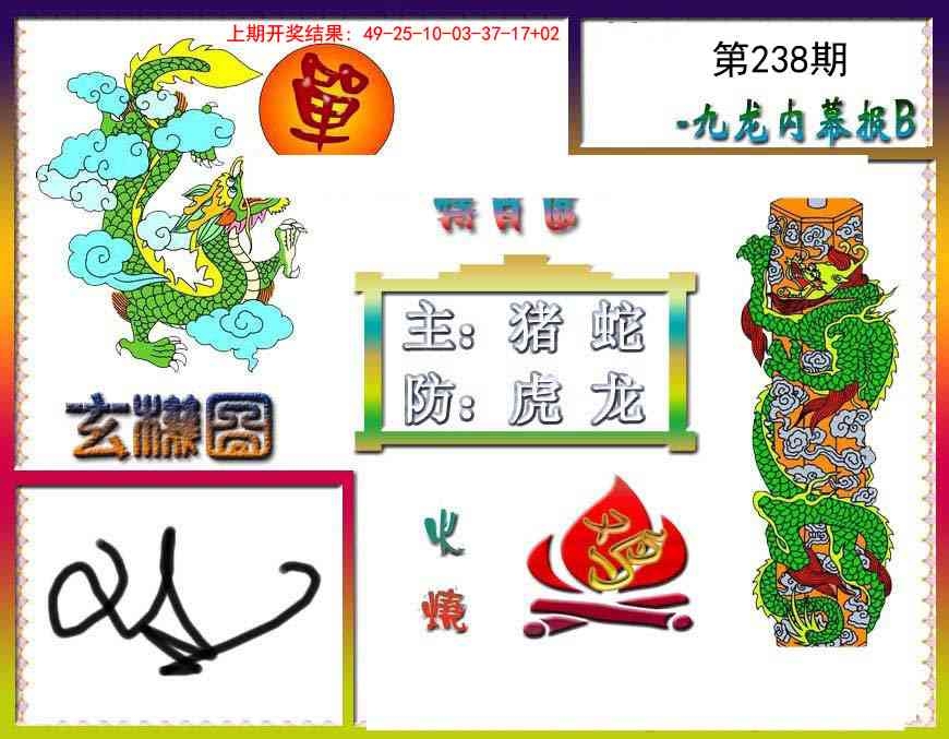 2025238期：內(nèi)幕特肖B