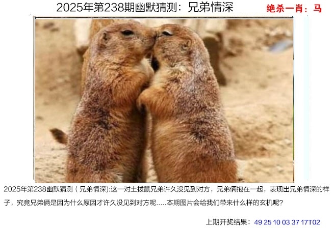 2025238期：澳幽默猜測
