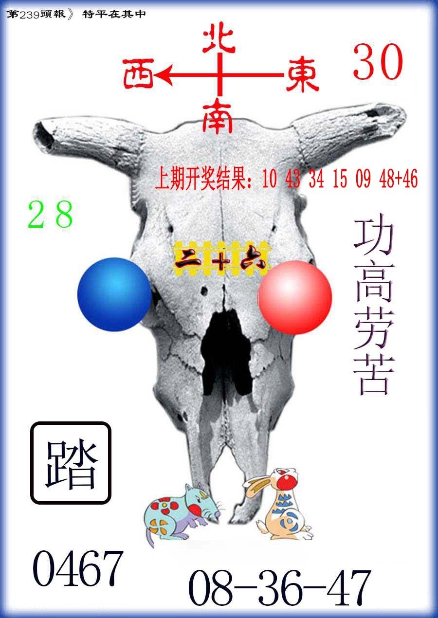 2025239期：澳門牛頭報