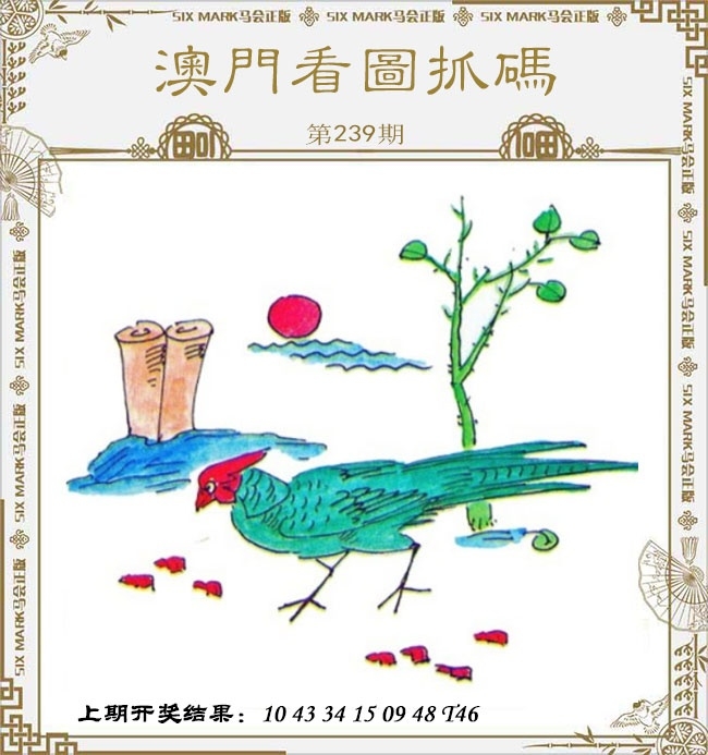 2025239期：看圖抓碼圖