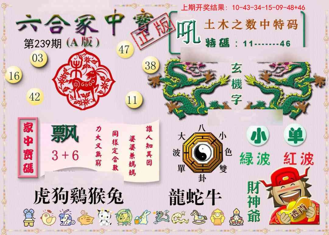 2025239期：合家中寶A