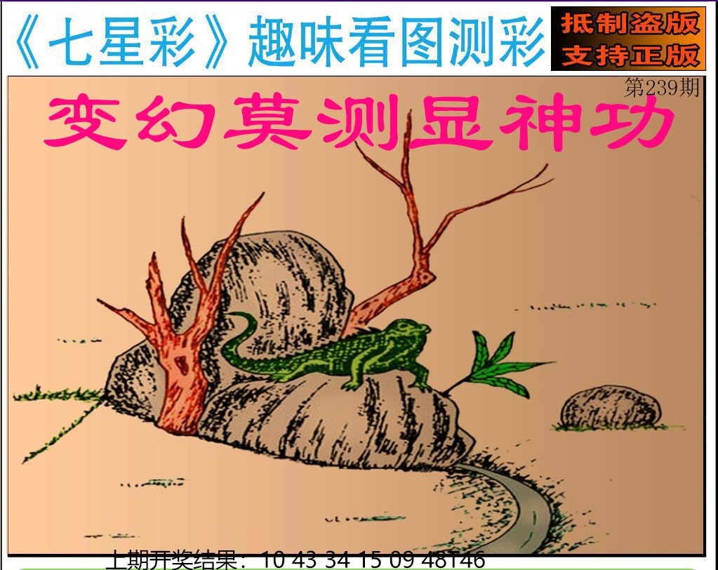 2025239期：澳門七星圖