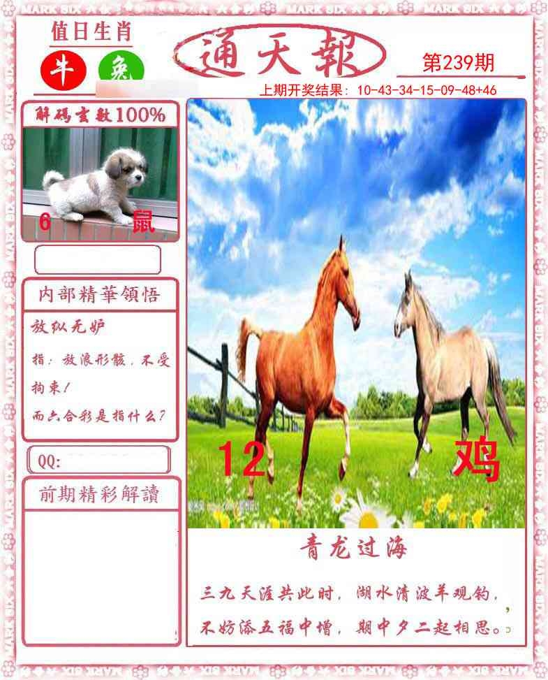 2025239期：正版通天報(bào)