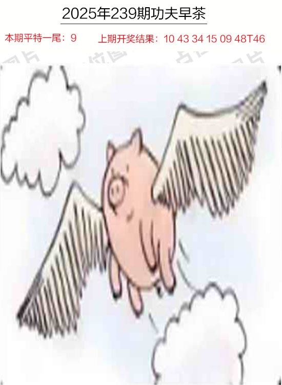 2025239期：功夫早茶圖