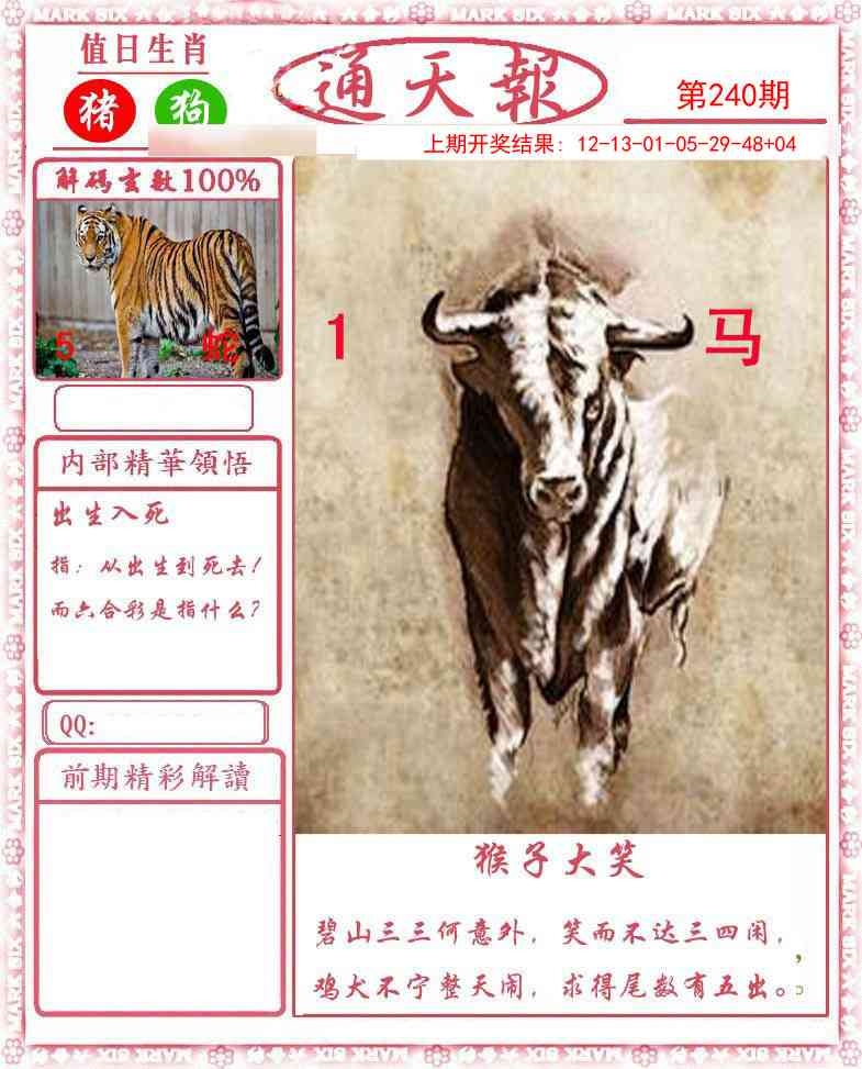 2025240期：正版通天報(bào)