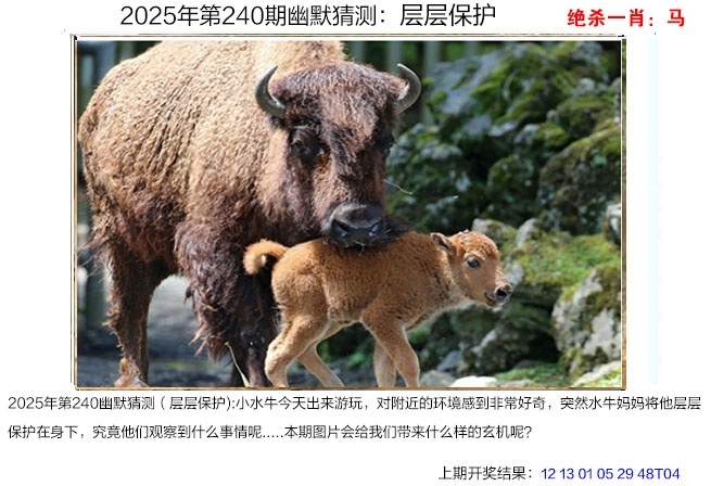 2025240期：澳幽默猜測(cè)