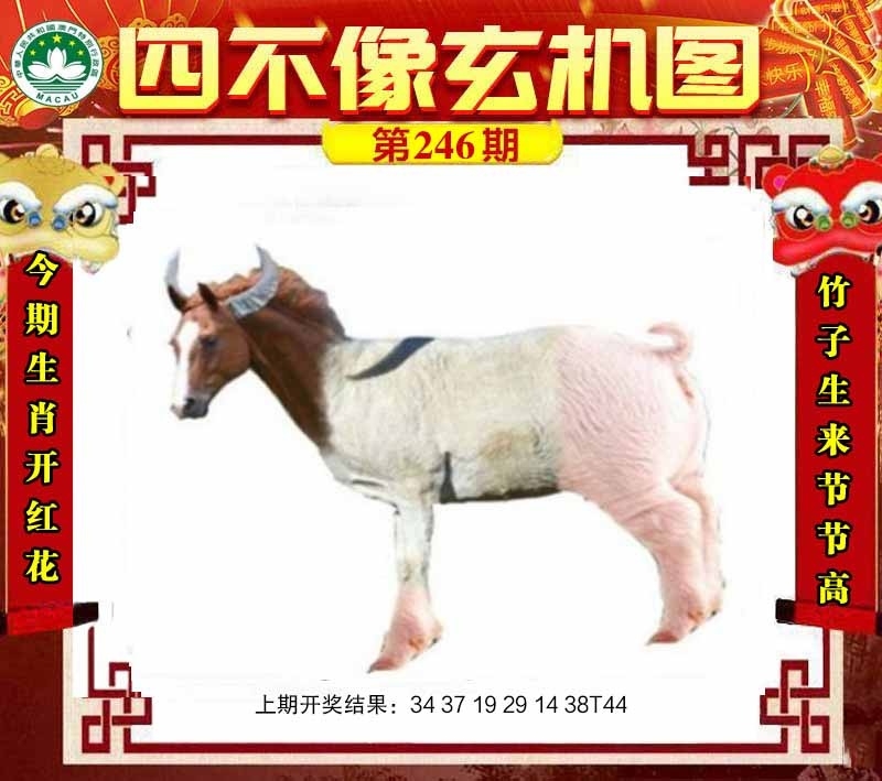 2025246期：四不像玄機