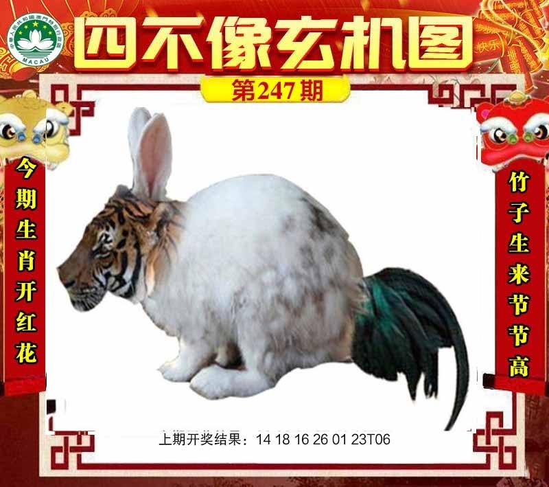 2025247期：四不像玄機(jī)