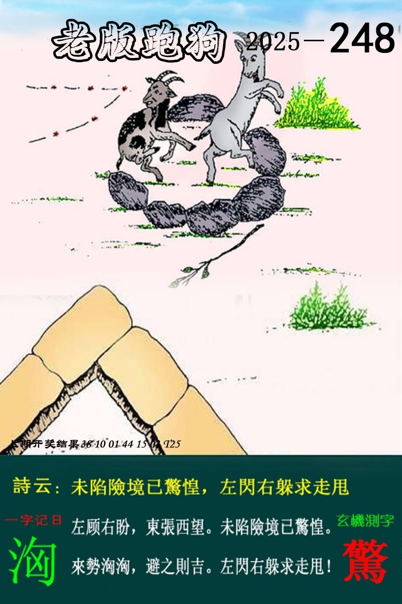 2025248期：老版跑狗圖
