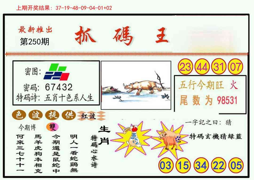 2025250期：澳門抓碼王