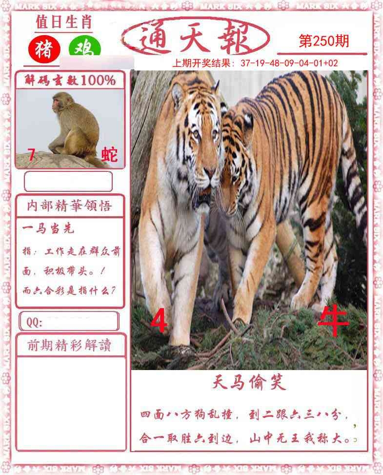 2025250期：通天報解碼
