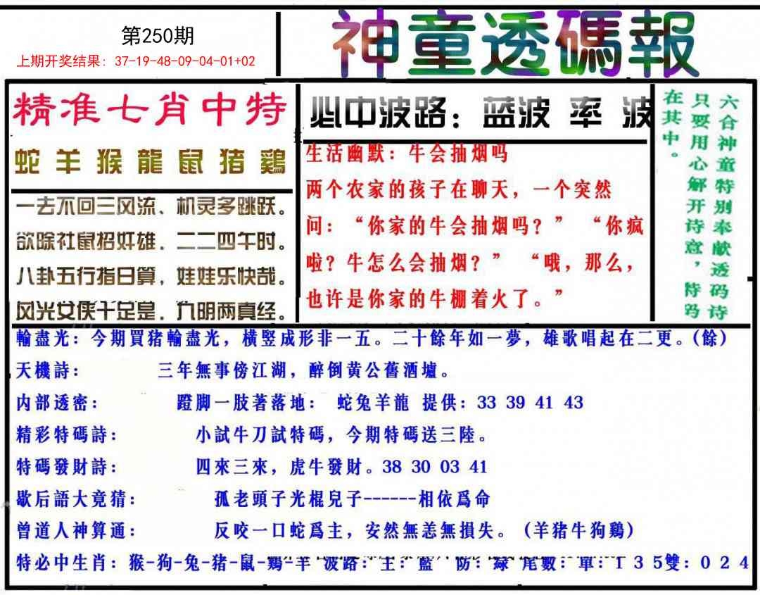 2025250期：神童透碼報(bào)
