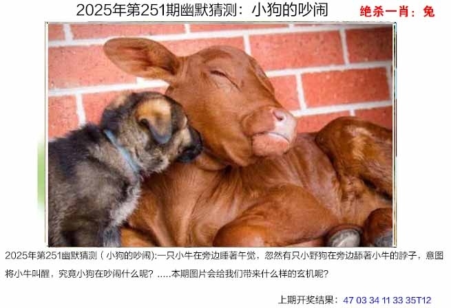 2025251期：澳幽默猜測