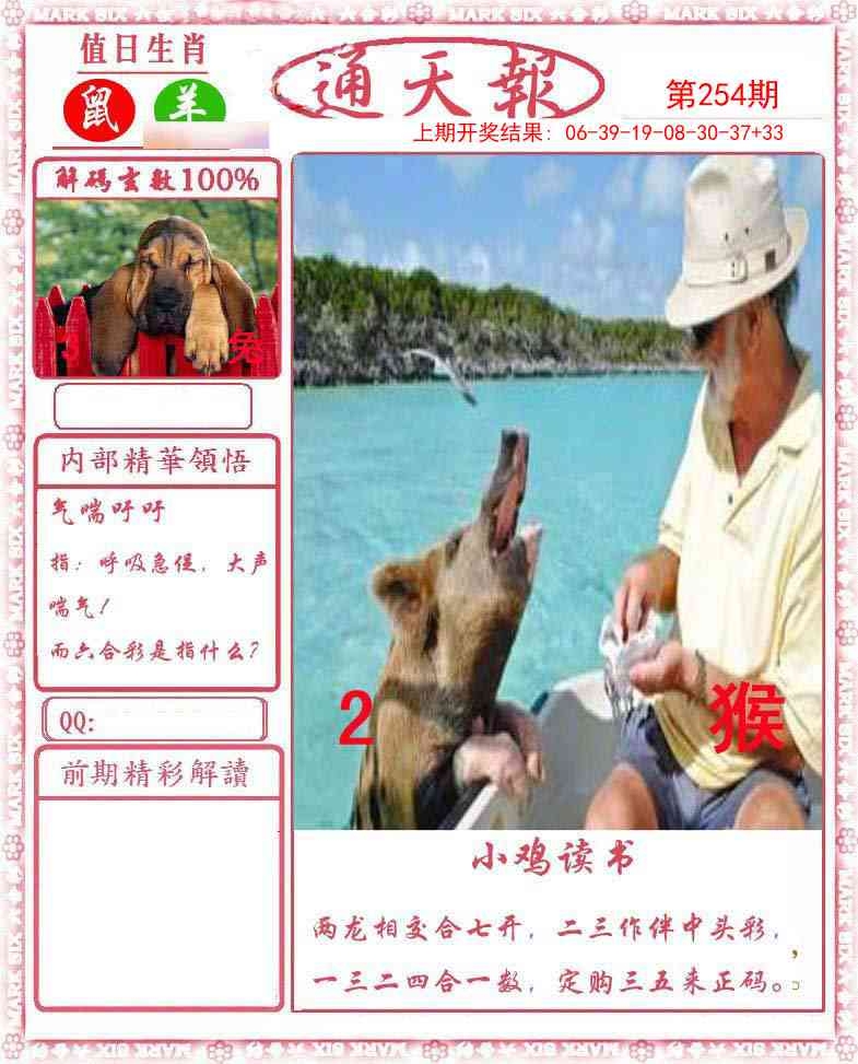 2025254期：通天報解碼