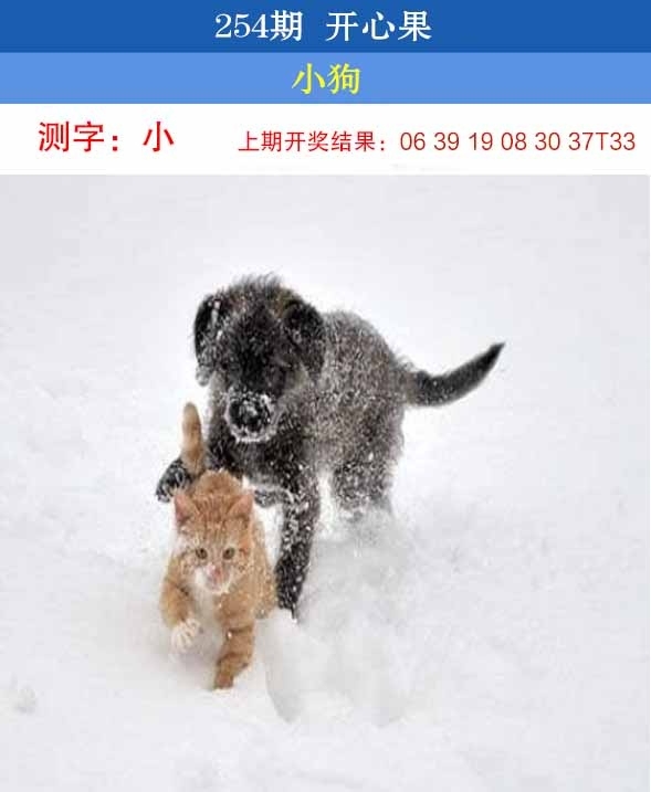 2025254期：開心果先鋒