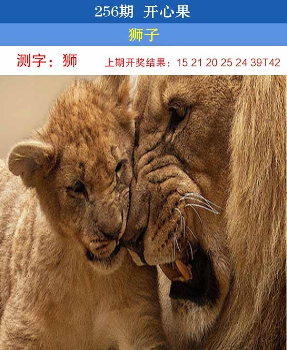 2025256期：開心果先鋒