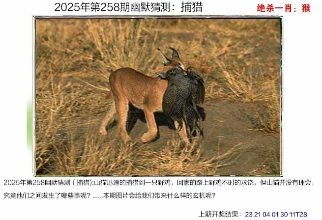 2025258期：澳幽默猜測(cè)