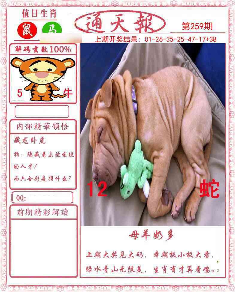 2025259期：正版通天報(bào)