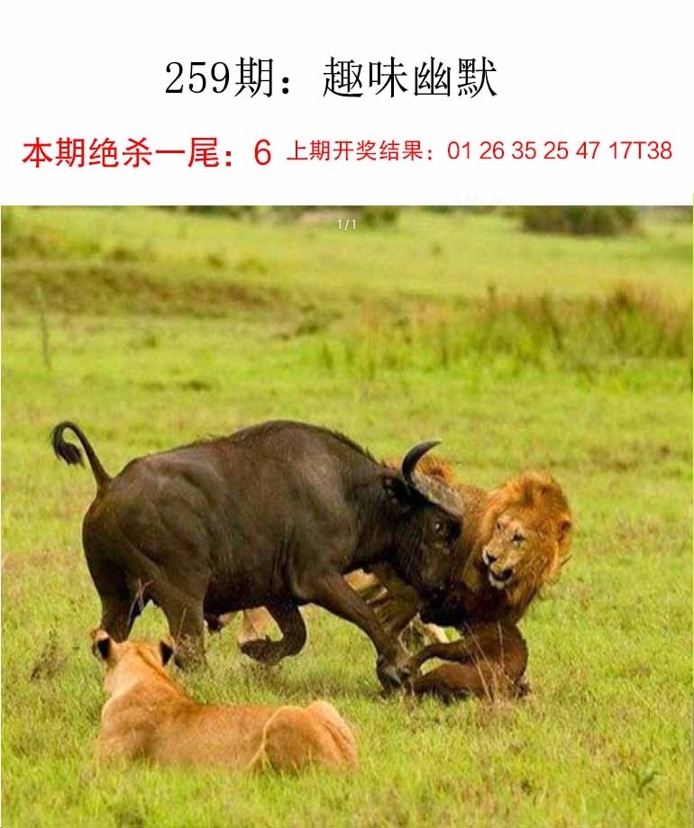 2025259期：新趣味幽默