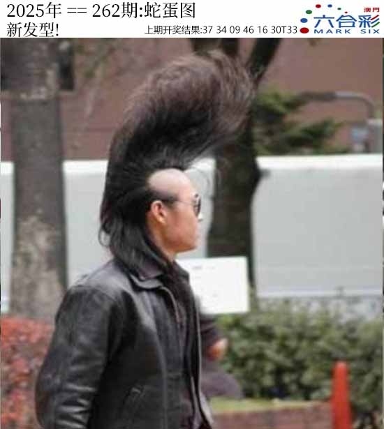 2025262期：澳门蛇蛋图，描绘2025新澳门天天免费观看玄机:欲钱孙陪空 (虎龙);解析2025新澳门天天免费4肖8码：【蛇马猴鸡,1-14-22-23-26-36-45-48】