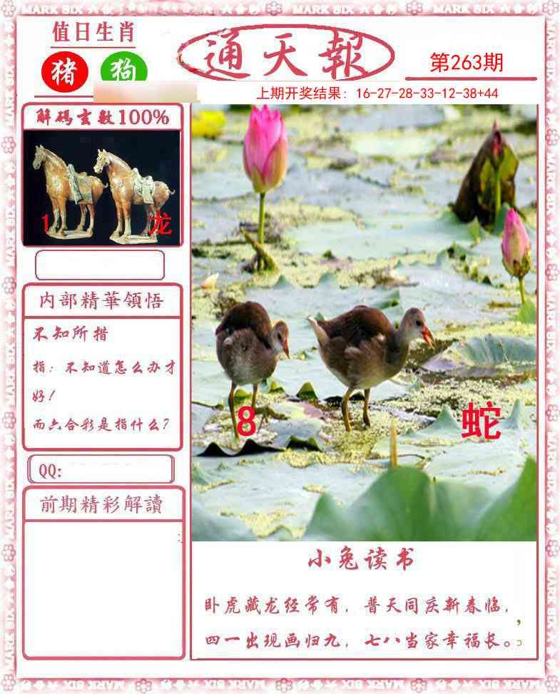 2025263期：通天报解码，描绘205期澳门天天彩玄机:金牛出门迎才神;解析2025新澳天天正版免费4肖8码：【牛虎蛇羊,9-11-13-20-23-35-41-45】