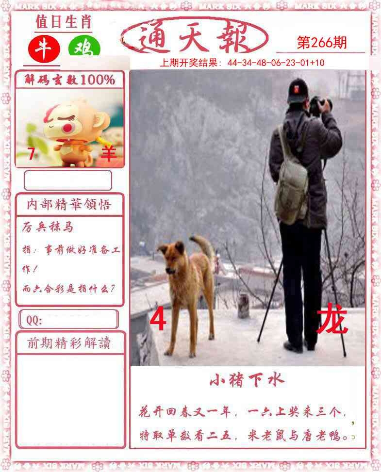 2025266期：正版通天报，描绘2025资料正版大全玄机:买三用六合;解析2025最全免费正版大全6肖12码：【牛兔龙马猴狗,2-8-10-15-16-22-26-32-36-40-42-47】