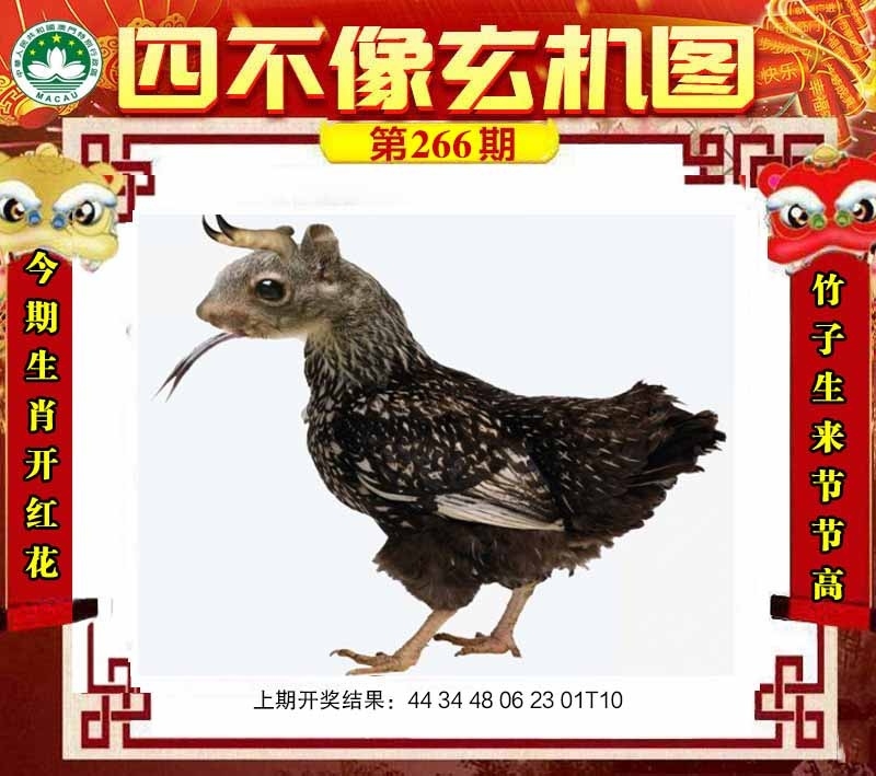 2025266期：四不像玄机，描绘四不像正版资料玄机:买三用六合;解析2025最新免费资料6肖12码：【牛兔龙马猴狗,2-8-10-15-16-22-26-32-36-40-42-47】