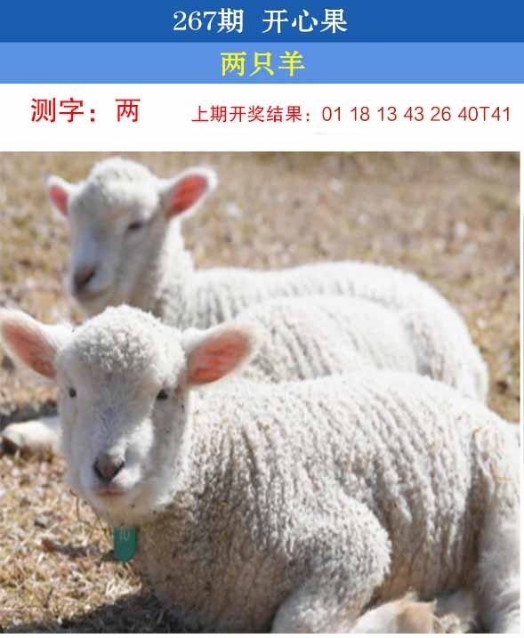 2025267期：开心果先锋，描绘2025澳门六今晚开奖结果玄机:秀才元帅找杏花;解析2025澳门六今晚开奖结果出来6肖12码：【鼠虎龙马猴猪,1-5-7-10-15-19-31-33-35-36-47-49】