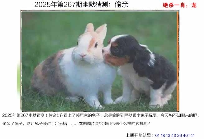 2025267期：澳幽默猜测，描绘205期澳门天天彩玄机:秀才元帅找杏花;解析2025期期精准免费6肖12码：【鼠虎龙马猴猪,1-5-7-10-15-19-31-33-35-36-47-49】