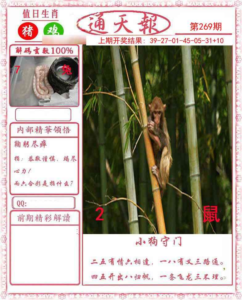 2025269期：正版通天报，描绘2025资料正版大全玄机:四六合一先后出;解析2025最全免费正版大全5肖10码：【鼠兔蛇羊猴,2-5-6-7-8-15-17-24-26-28】