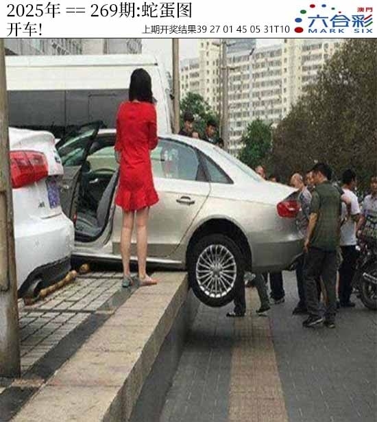 2025269期：澳门蛇蛋图，描绘205期澳门天天彩玄机:四六合一先后出;解析2025新澳门天天免费5肖10码：【鼠兔蛇羊猴,2-5-6-7-8-15-17-24-26-28】