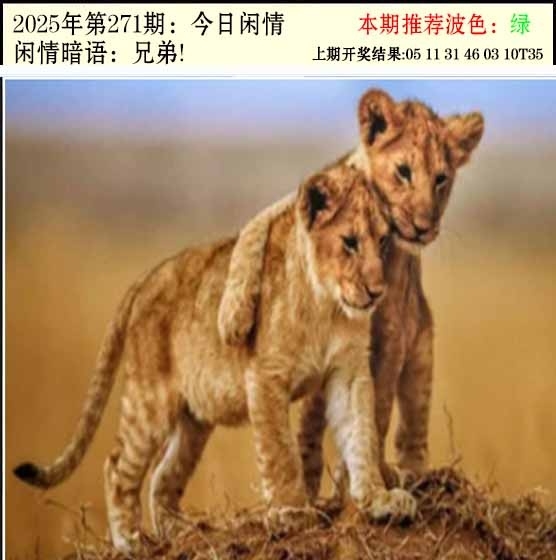 2025271期：今日闲情２，描绘2025期期精准免费玄机:顺风顺水顺人意;解析2025澳门六今晚开奖结果4肖8码：【虎兔龙猪,21-23-25-28-32-39-40-48】