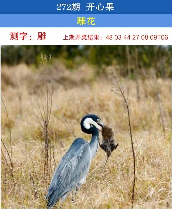 2025272期：开心果先锋，描绘2025澳门六今晚开奖结果玄机:欲钱买洁身自爱动物(羊蛇);解析2025澳门六今晚开奖结果出来6肖12码：【虎兔龙蛇羊猪,1-5-24-26-28-30-33-34-35-36-47-49】