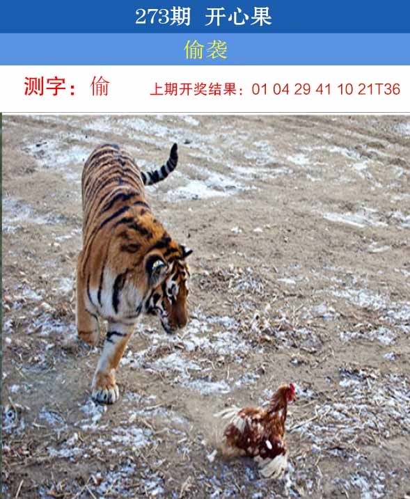 2025273期：开心果先锋，描绘2025澳门六今晚开奖结果玄机:羊前蛇到龙中间;解析2025澳门六今晚开奖结果出来4肖8码：【鼠羊鸡狗,3-6-10-16-22-24-42-49】