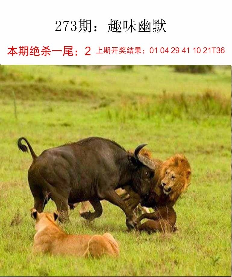 2025273期：新趣味幽默，描绘2025最新资料大全免费下载玄机:羊前蛇到龙中间;解析2025最新免费资料4肖8码：【鼠羊鸡狗,3-6-10-16-22-24-42-49】