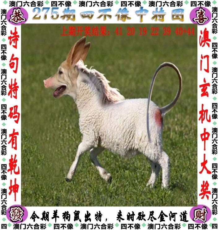 2025275期：澳门四不像，描绘205期澳门天天彩玄机:春风一度过天涯;解析2025新澳门天天免费4肖8码：【兔马猴鸡,6-9-16-25-28-32-33-35】