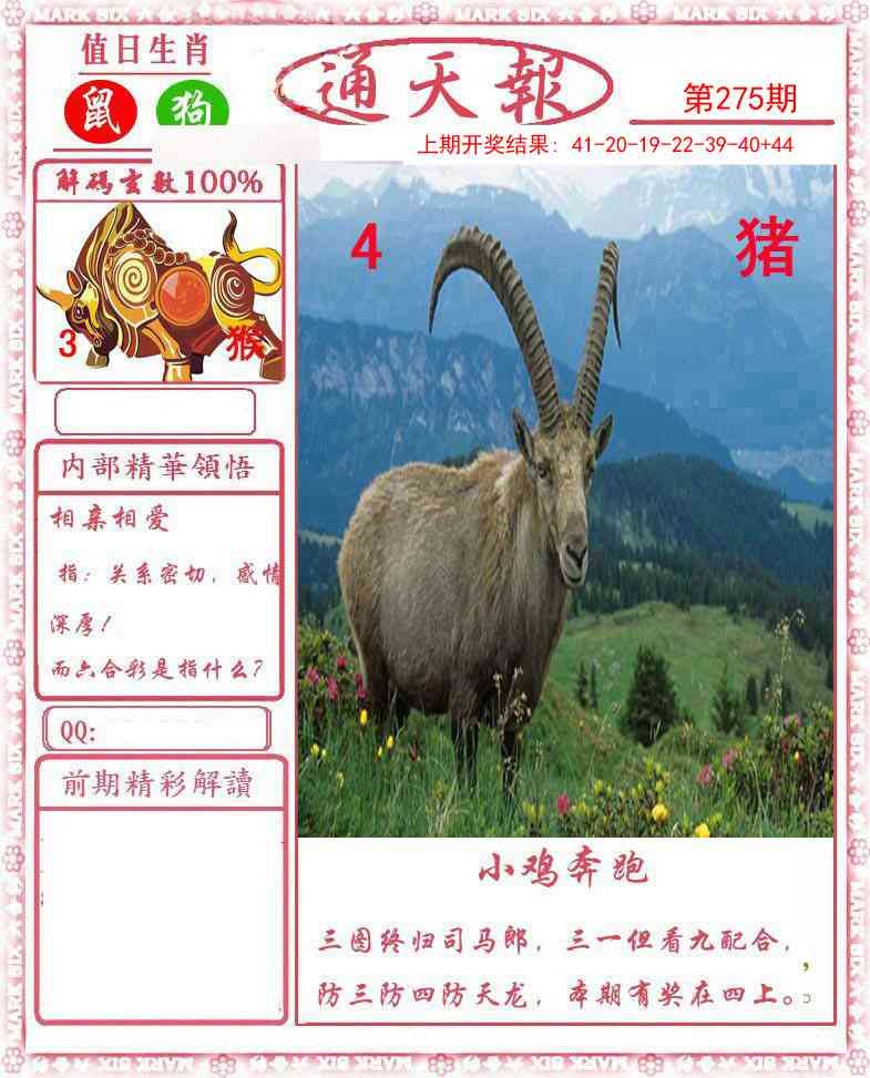 2025275期：正版通天报，描绘2025资料正版大全玄机:春风一度过天涯;解析2025最全免费正版大全4肖8码：【兔马猴鸡,6-9-16-25-28-32-33-35】