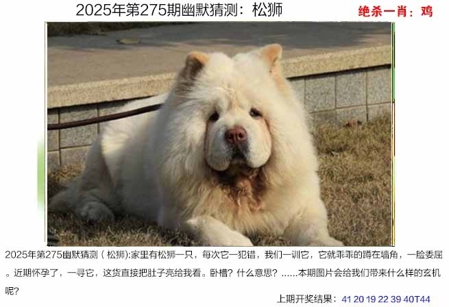 2025275期：澳幽默猜测，描绘205期澳门天天彩玄机:春风一度过天涯;解析2025期期精准免费4肖8码：【兔马猴鸡,6-9-16-25-28-32-33-35】